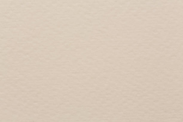istock Paper texture light rough textured spotted blank copy space background in beige. 1193678674