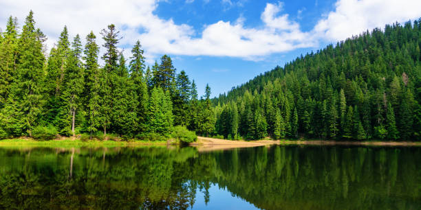 istock mountain lake in summertime 1193679839