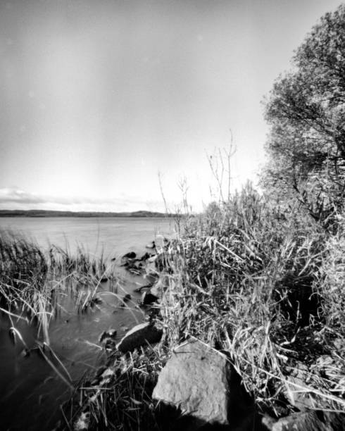秋の湖 - この白黒カメラの不明瞭な写真は、カメラの特性のためにシャープではありません。 ストックフォト