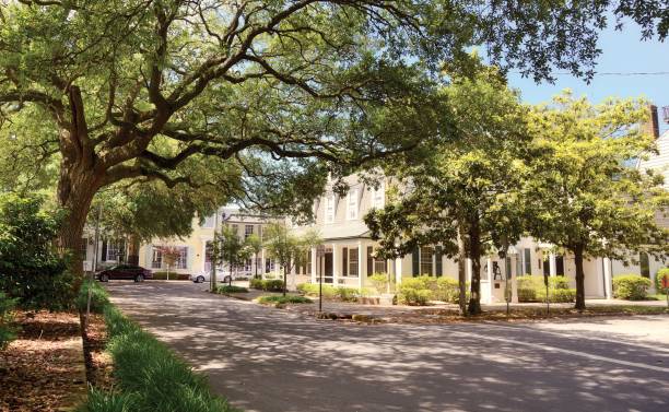 istock Homes, Savannah, Georgia. 1193682285