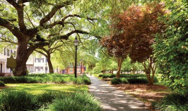 istock Homes, Savannah, Georgia. 1193682300