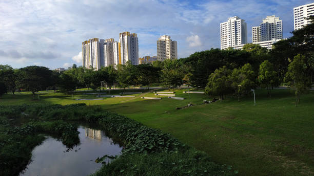 istock Morning sunrise at the park 1193683641