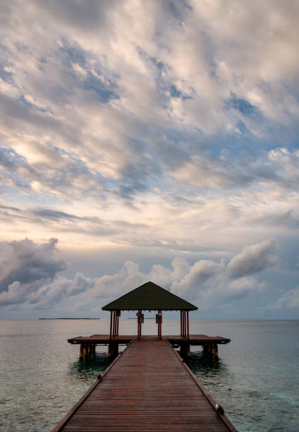 istock A Pier In The Maldives 1193685483