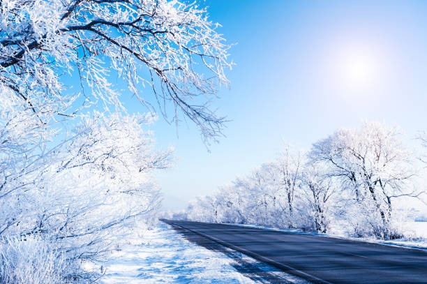 istock Winter road with snow-covered trees and blue sky. 1193685610