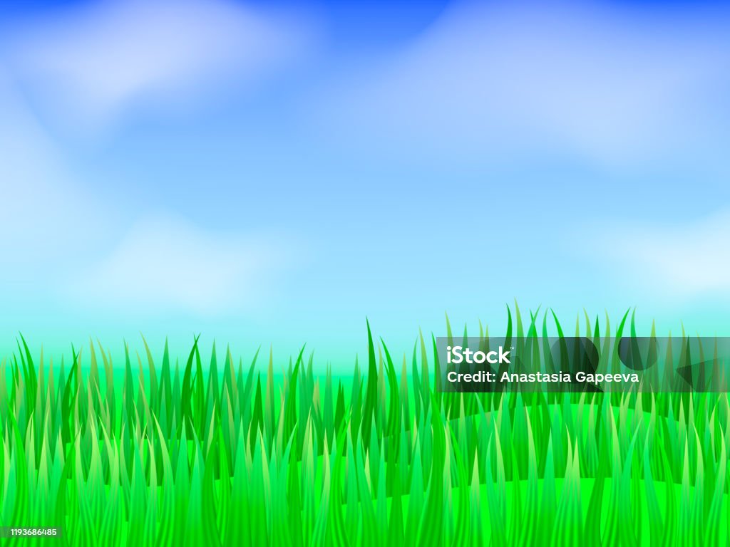 Green Grass Background Vector Stock Illustration For Poster Or Banner Stock  Illustration - Download Image Now - iStock