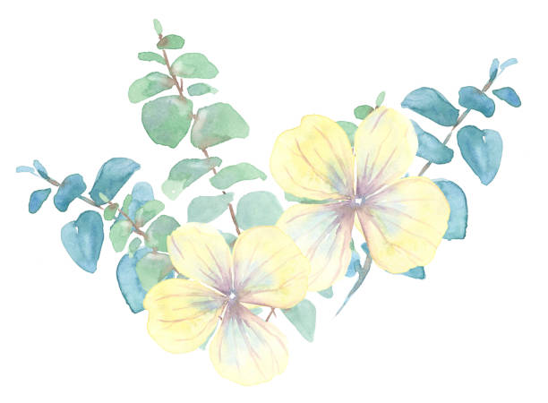 istock picture watercolor illustration flowers yellow leaf branches on white background 1193689010