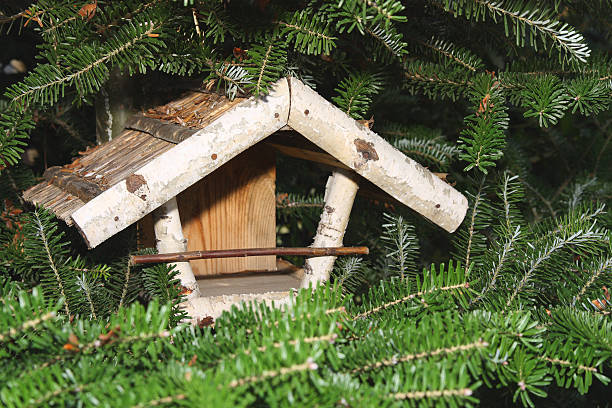 istock Bird house made from birch 119369109