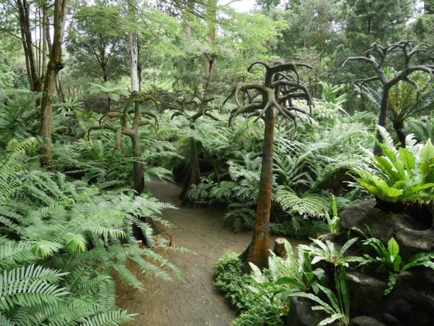 istock Trees and Plant 1193691391