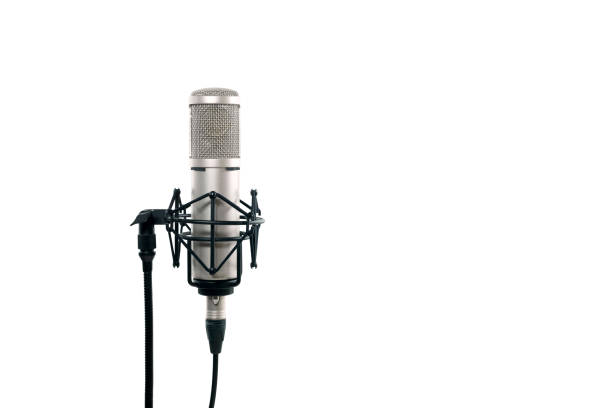 High quality condencer microphone with clipping path. Close up of high fidelity microphone hanging  on holder isolated on white background for youtuber and vlogger.
High quality condencer microphone with clipping path. audition photos stock pictures, royalty-free photos & images