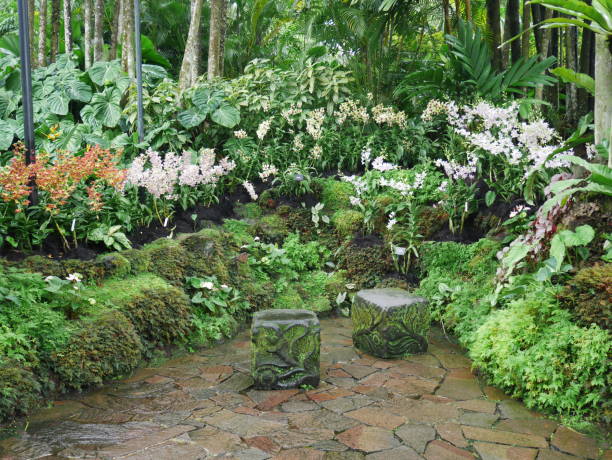 National Orchid Garden
