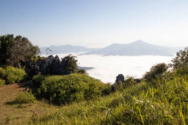 Chiang rai province "Doi Pha Tung" moutain in Wiang Kaen district is a famous place attraction for tourist with beautiful sunrise and sea of fog near "phu chi fah" another landmark in chiangrai