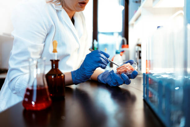 istock Food quality control concept 1193697042