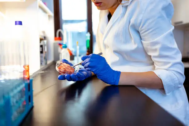Photo of Researcher Inspecting Meat Sample In Laboratory