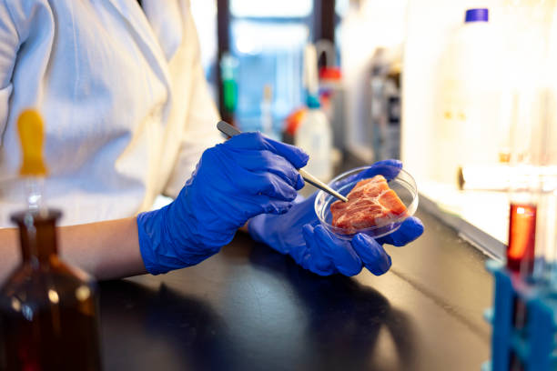 istock First rule of working in a lab: Stay safe 1193697170