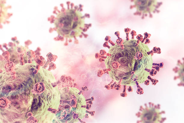 istock Viral disease, virus, bacteria, cell, 3d illustration 1193701631