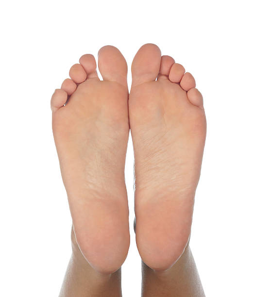 Female feet stock photo