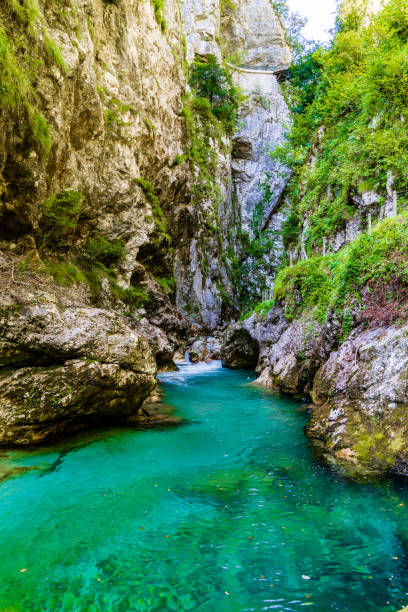 istock Tolmin Gorges in Slovenia 1193706443