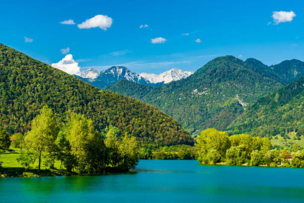 Soca (Isonzo) river surrounded by forest, green meadows and mountains. Turquoise river Isonzo in a sunny day. Slovenian mountains. soca valley stock pictures, royalty-free photos & images