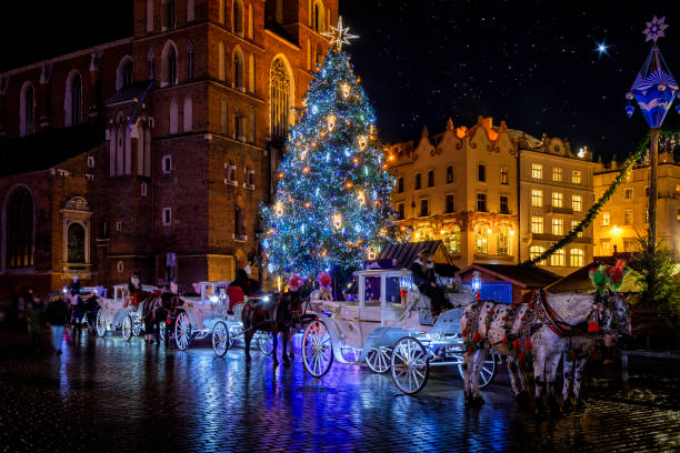 horse drawn carriage in the winter