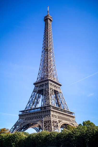 istock Eiffel Tower view from the Seine, Paris 1193709052