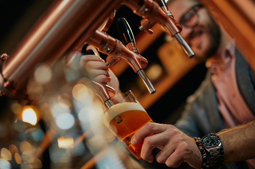 Close up of handsome caucasian bearded bartender standing in bar and pouring beer from tap.