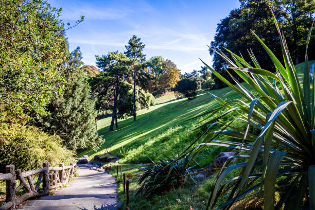 istock Buttes-Chaumont Park, Paris 1193710693