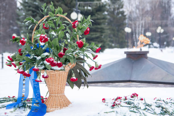 basket of red carnations covered with snow - chama eterna imagens e fotografias de stock