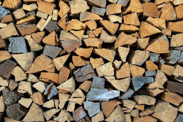 istock Winter wood pile 1193716131