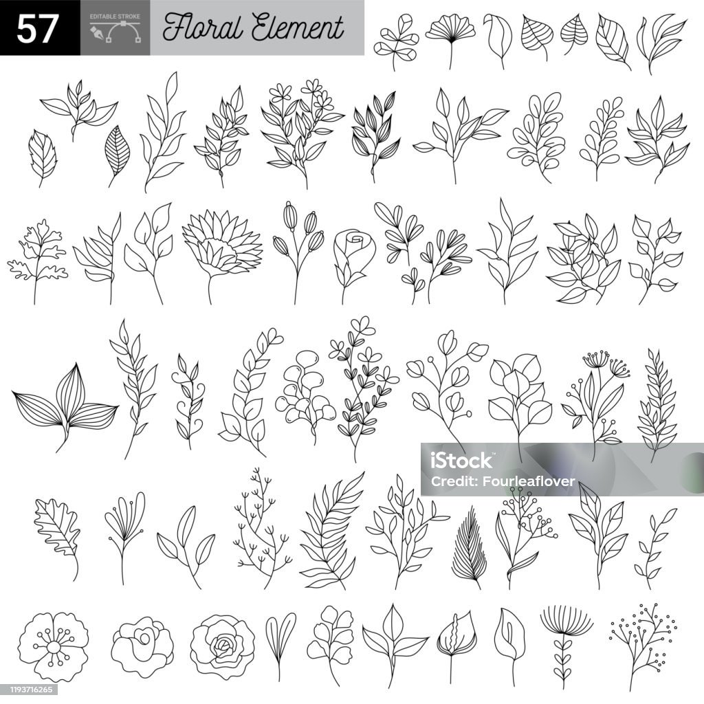Rustic hand drawn ornaments with branches and leaves. Vector floral frames and borders. Branch floral vintage, illustration of sketch flower and leaf - Royalty-free Flor arte vetorial