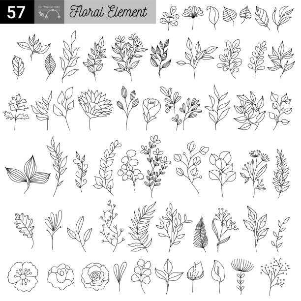 ilustrações de stock, clip art, desenhos animados e ícones de rustic hand drawn ornaments with branches and leaves. vector floral frames and borders. branch floral vintage, illustration of sketch flower and leaf - flower leaf