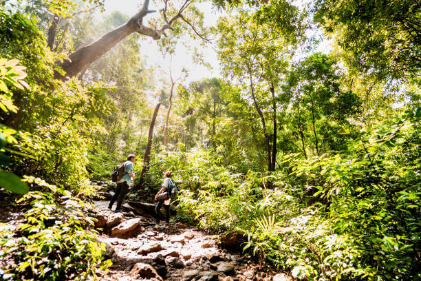 istock People Standing Amidst Plants And Trees In Forest 1193721759