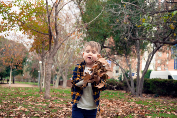 istock Boy playing with leaves in the park in autumn 1193722839