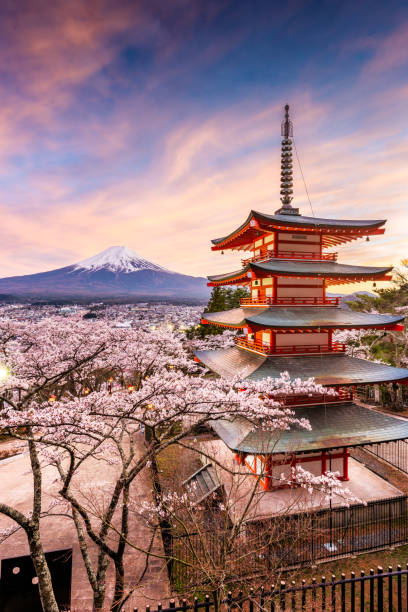 fujiyoshida, japon à la pagode de tchourito et au mont fuji au printemps avec des fleurs de cerisier. - chubu region photos et images de collection