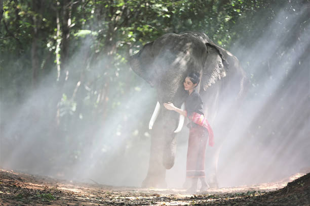 istock Young Woman Walking With Elephant 1193726172