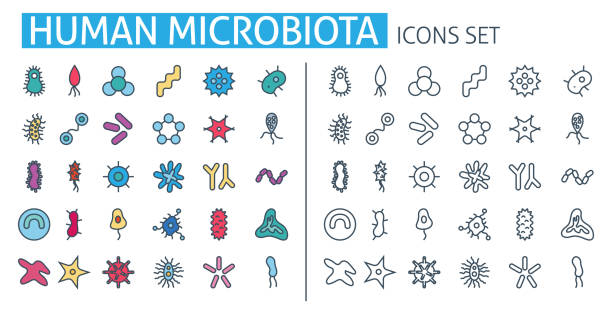 Human microbiota icons set. For medical Biology app, bacterial flora, pathogen, germ, virus Human microbiota icons set. For medical Biology app, bacterial flora, pathogen, germ, virus microorganisms poster concept microbe banner Infection elements template. Thin line web symbols outline flat plasmids stock illustrations