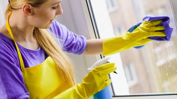 istock Girl cleaning window at home 1193728961