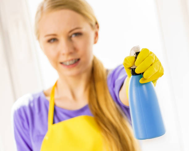 istock Girl cleaning window at home 1193729061