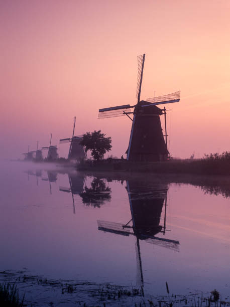 istock Traditional Dutch windmills at sunrise 1193730101