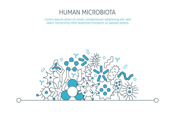 Human microbiota banner. For medical Biology landing page app icons, bacterial flora pathogen, germ Human microbiota banner. For medical Biology landing page app icons, bacterial flora pathogen, germ, virus microorganisms poster concept microbe Infection elements template. Thin line web symbols flat plasmids stock illustrations