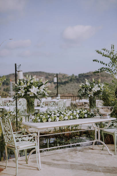 istock Garden Party 1193730338