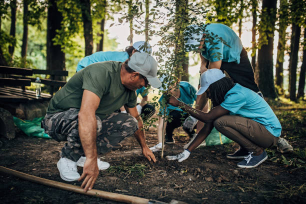 istock Volunteers planting a tree in the park 1193732228