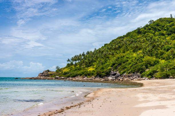 istock Tropic beach in Thailand 1193732261