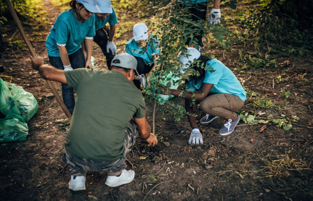 istock Volunteers planting a tree 1193732330