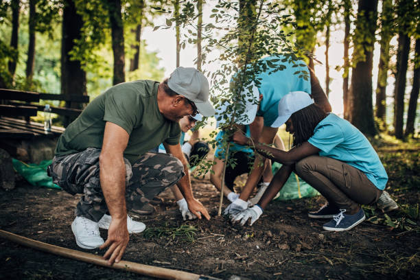 istock Volunteers planting a tree 1193732356