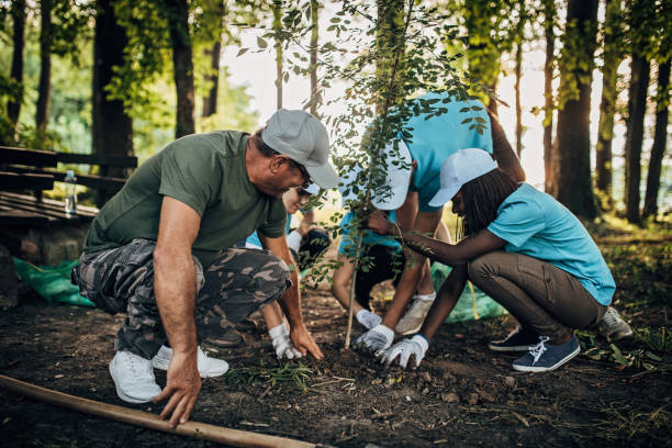 istock Volunteers planting a tree in the park 1193732388