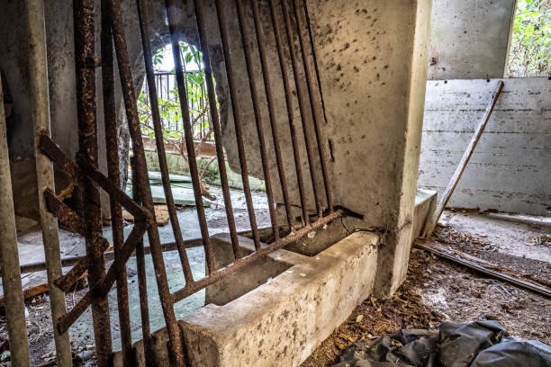 istock ruin of pigsty 1193733768