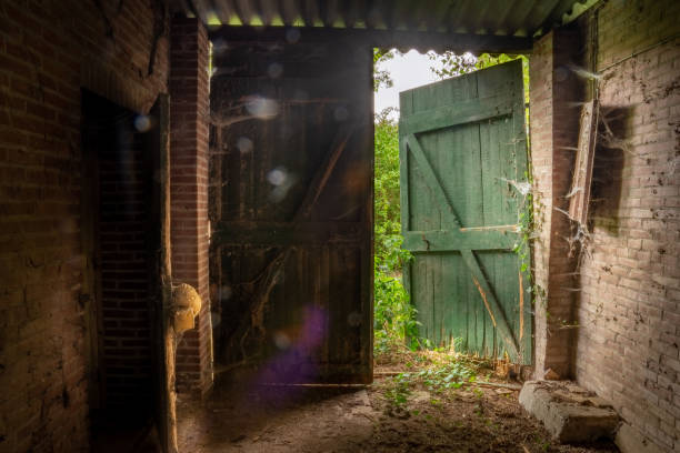 istock Half-timbered door that is open from horse stable 1193733779