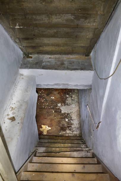 istock Stairs to the basement 1193733810