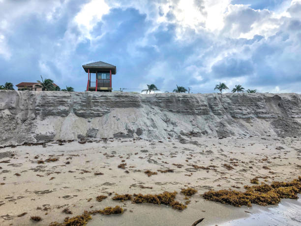 erosion of sand at the beach in florida - international wildlife conservation park imagens e fotografias de stock