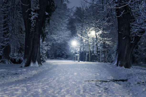 wintry szene in einem schneebedeckten park in der nacht mit beleuchteten laternenpfählen - snow park road cold stock-fotos und bilder